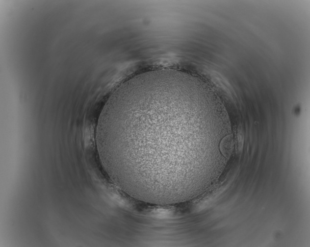 X0000094330236200711091413