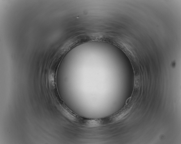 X0000094330238200711091413