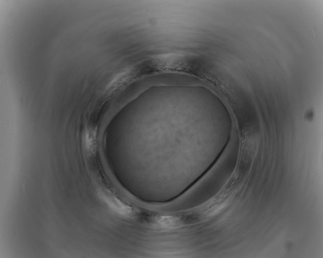 X0000094330239200711091413