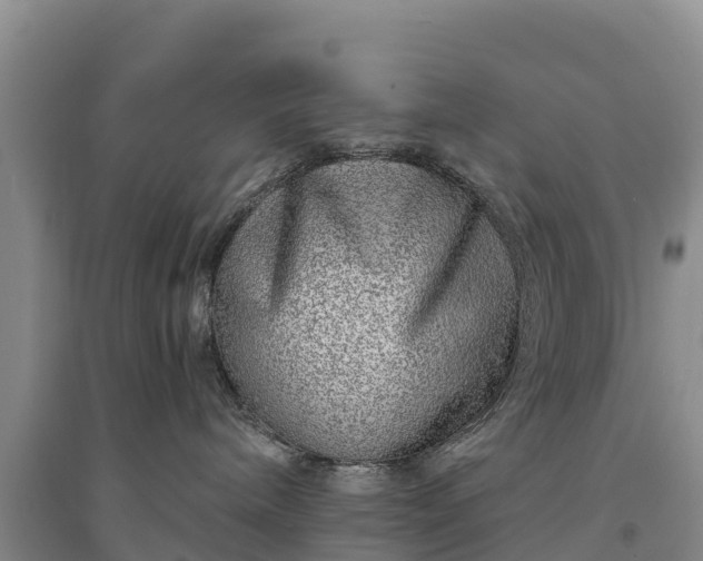 X0000094330240200711091413