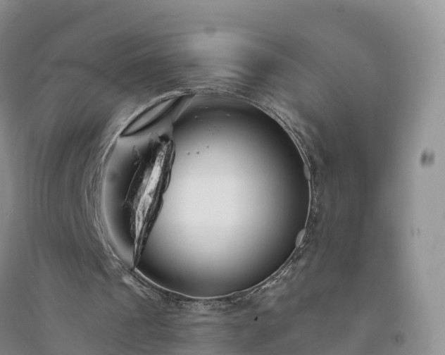 X0000094330241200711091412