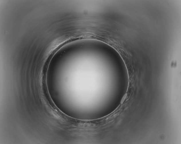 X0000094330242200711091412