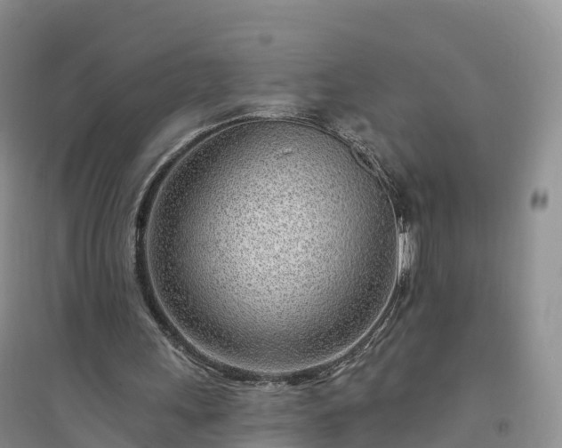 X0000094330243200711091412