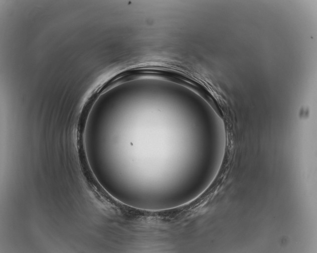 X0000094330244200711091412