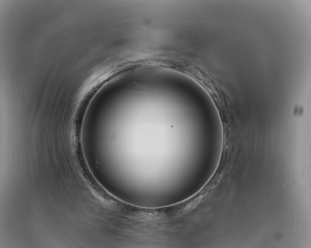 X0000094330245200711091412