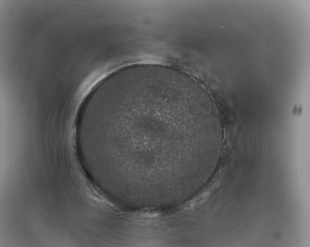 X0000094330247200711091412