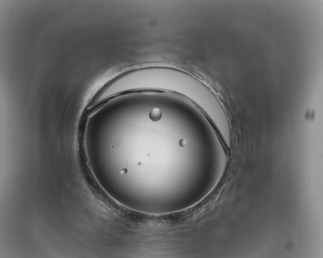 X0000094330248200711091412