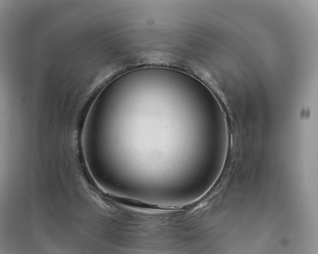 X0000094330249200711091412