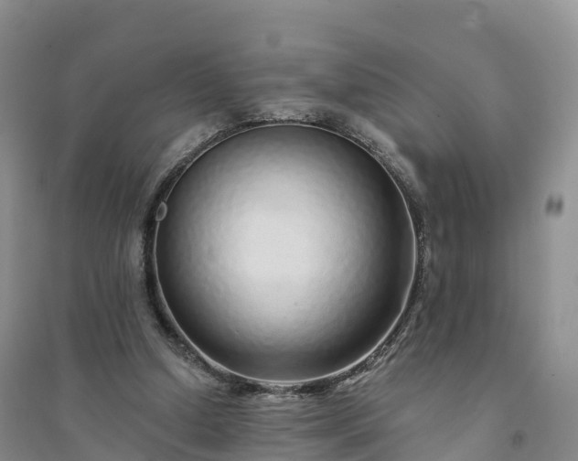 X0000094330250200711091412