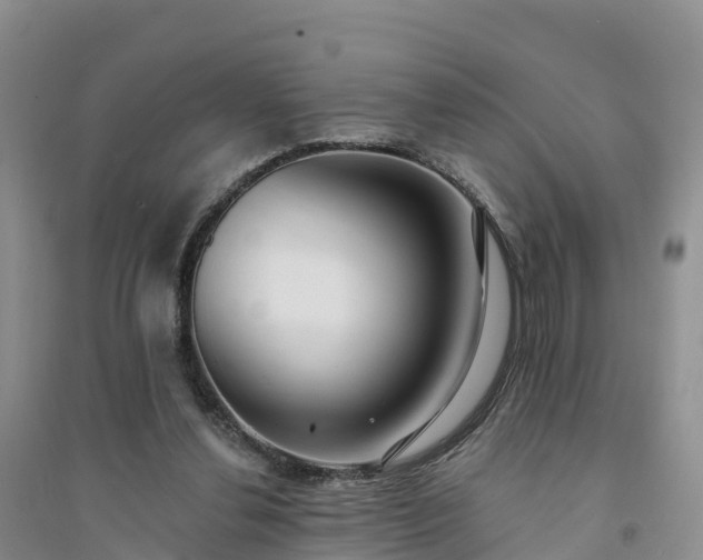X0000094330252200711091412