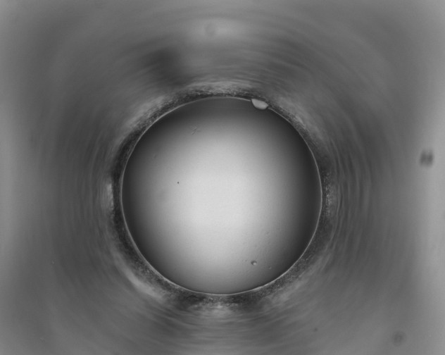 X0000094330254200711091412