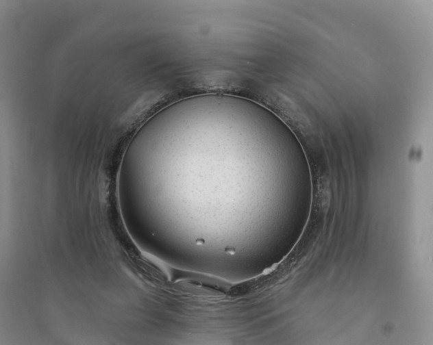 X0000094330255200711091412