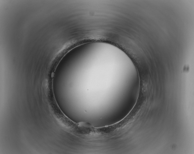 X0000094330256200711091412