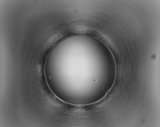 X0000094330258200711091412