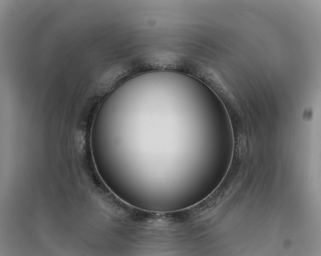 X0000094330259200711091412
