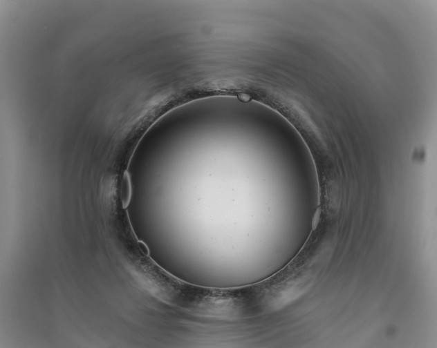 X0000094330260200711091412