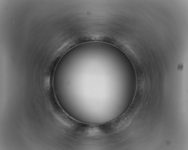 X0000094330262200711091412