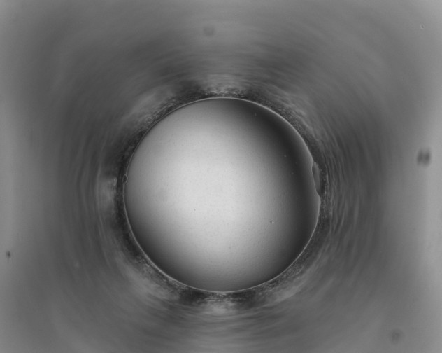 X0000094330263200711091412