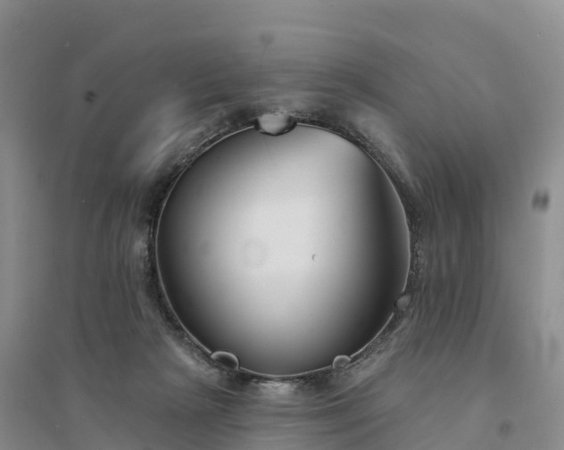 X0000094330265200711091412