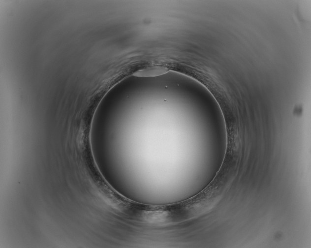 X0000094330266200711091412