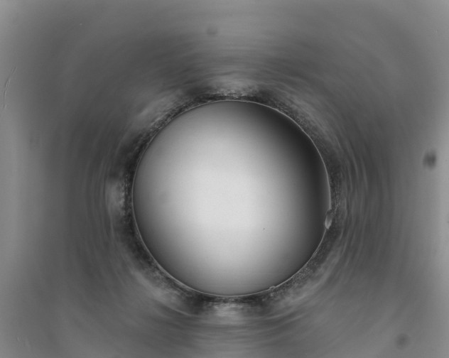 X0000094330268200711091412
