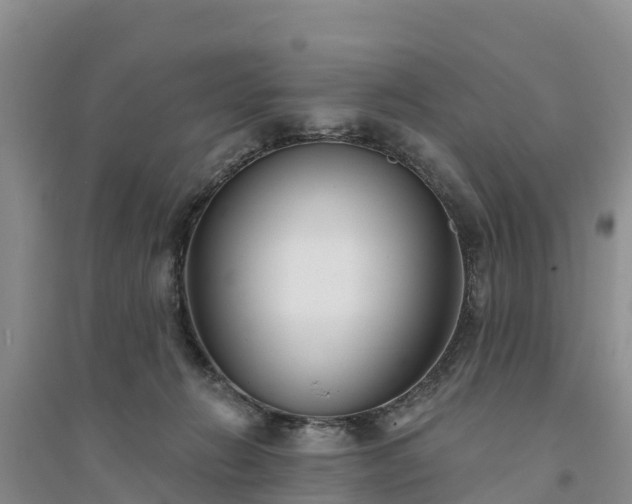 X0000094330270200711091412