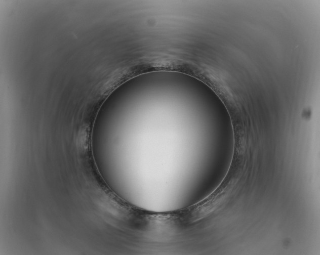 X0000094330273200711091412
