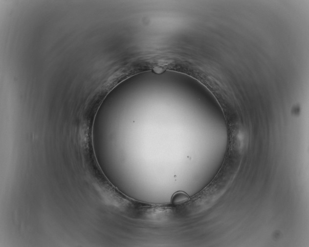 X0000094330274200711091412