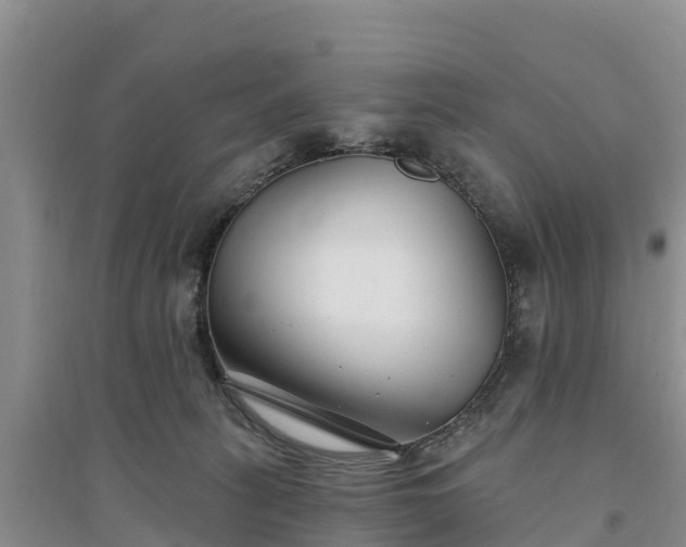 X0000094330275200711091412
