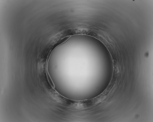 X0000094330276200711091412