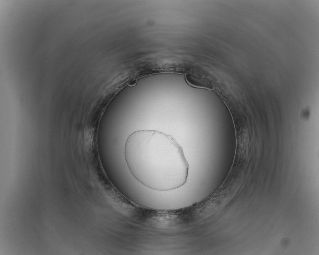 X0000094330278200711091412