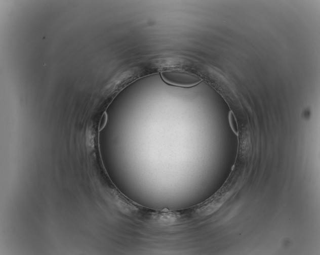 X0000094330282200711091412