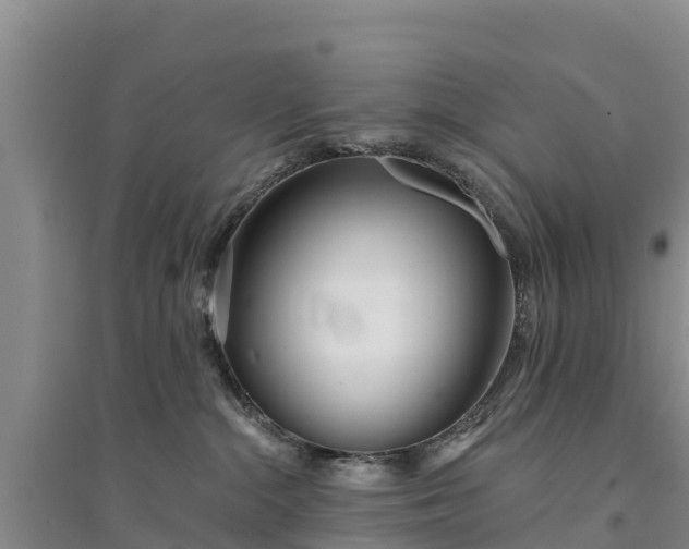 X0000094330284200711091412