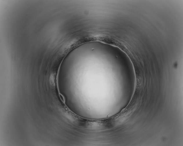 X0000094330286200711091413