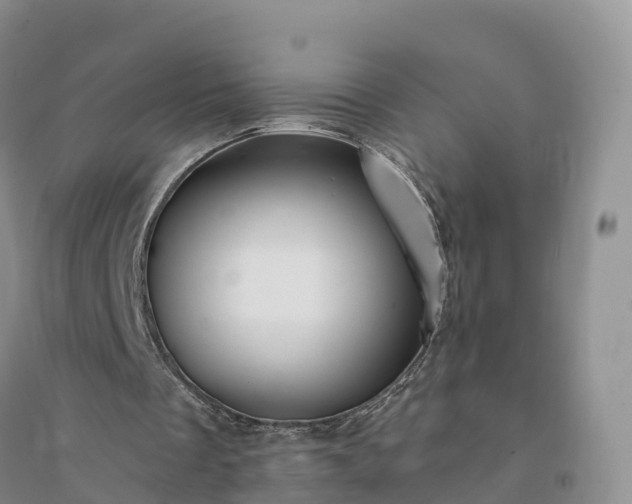 X0000094330289200711091412