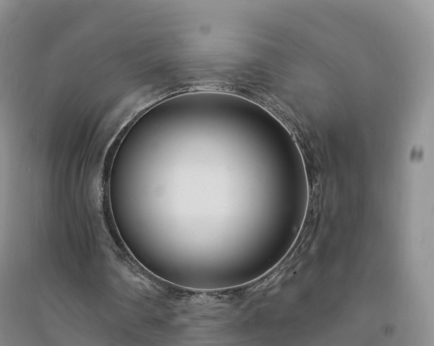 X0000094330290200711091412
