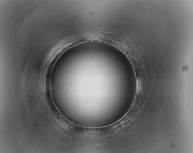 X0000094330291200711091412