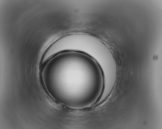 X0000094330293200711091412