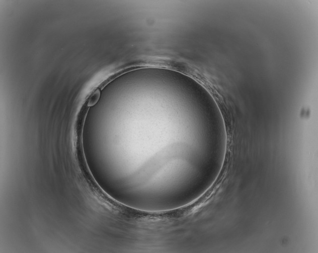 X0000094330294200711091412