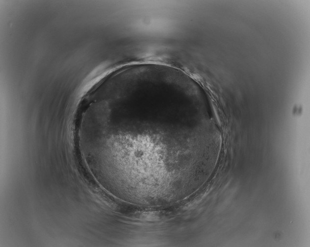 X0000094330295200711091412