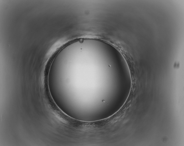 X0000094330296200711091412