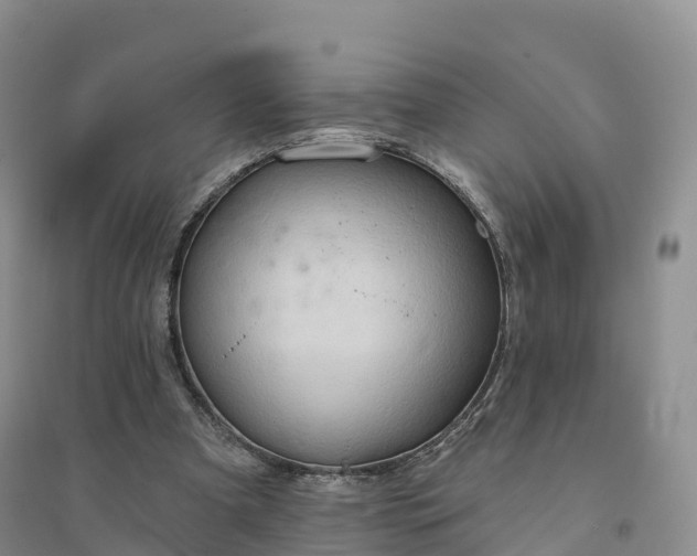 X0000094330297200711091412