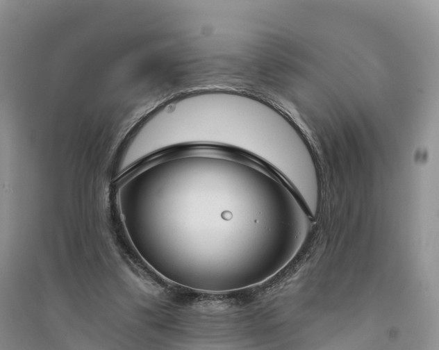 X0000094330299200711091412