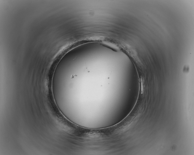 X0000094330300200711091412
