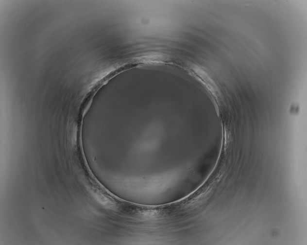 X0000094330301200711091412