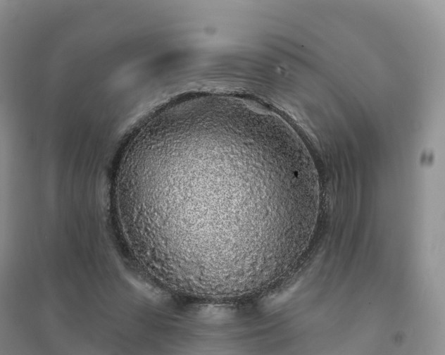 X0000094330303200711091412