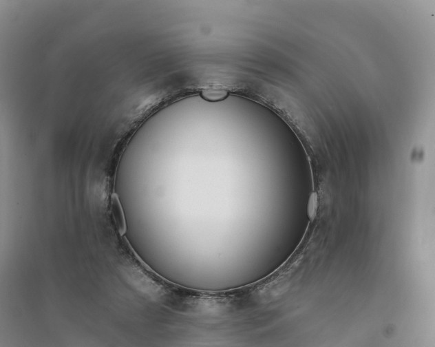 X0000094330305200711091411