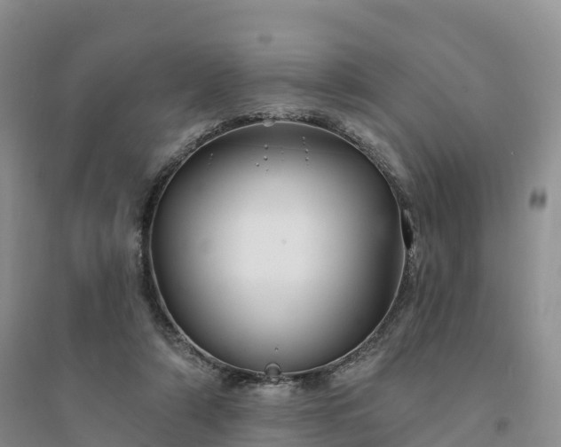 X0000094330306200711091411