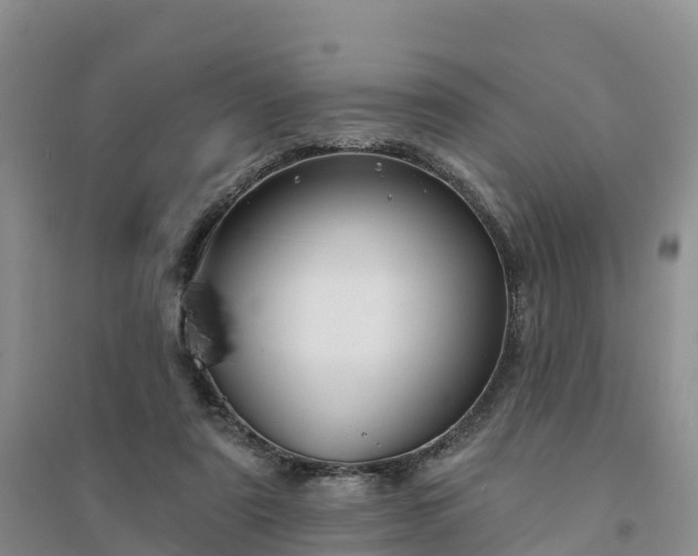 X0000094330307200711091411