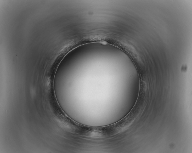 X0000094330308200711091411